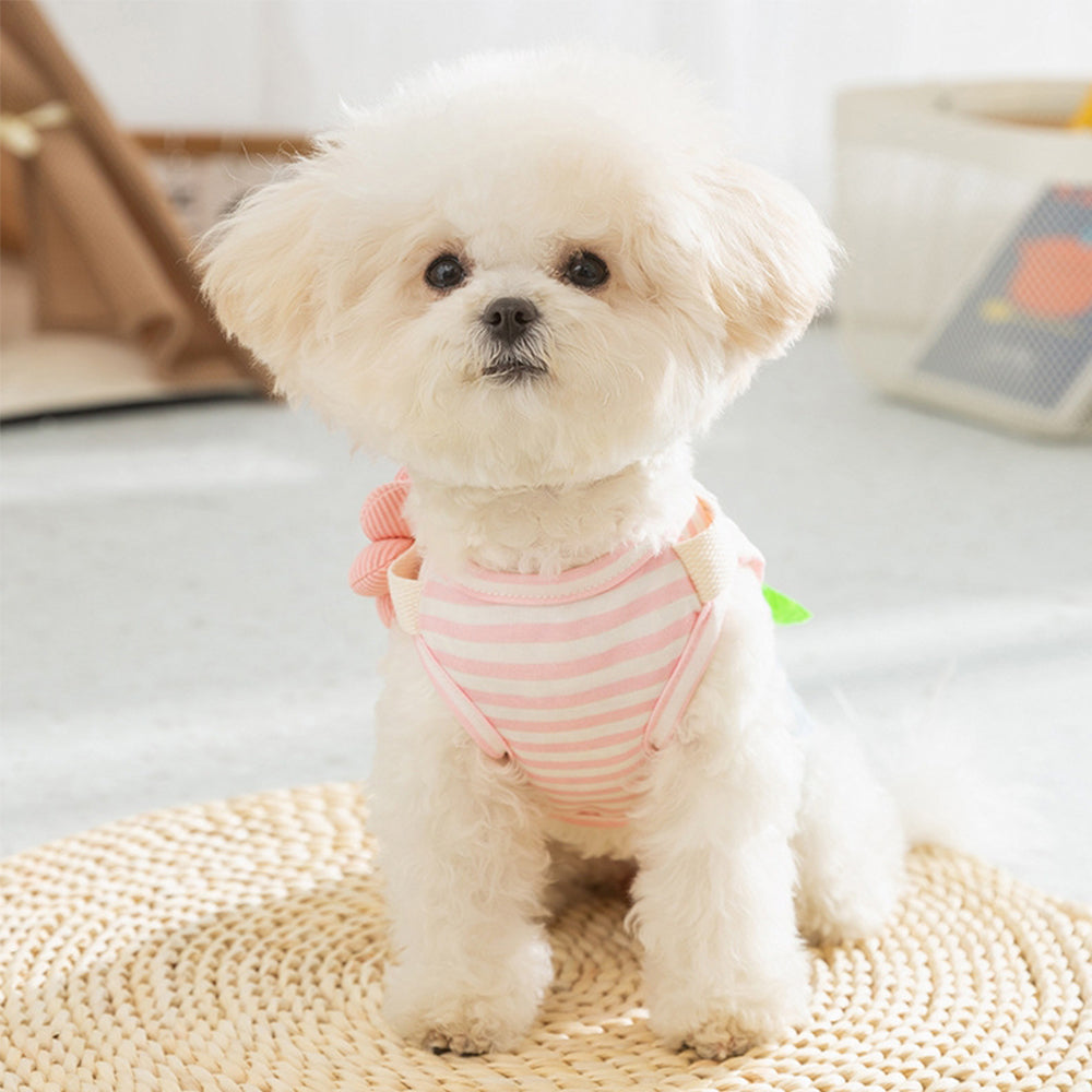 Personalized Name Pet Denim Overalls Dress | inCloth49