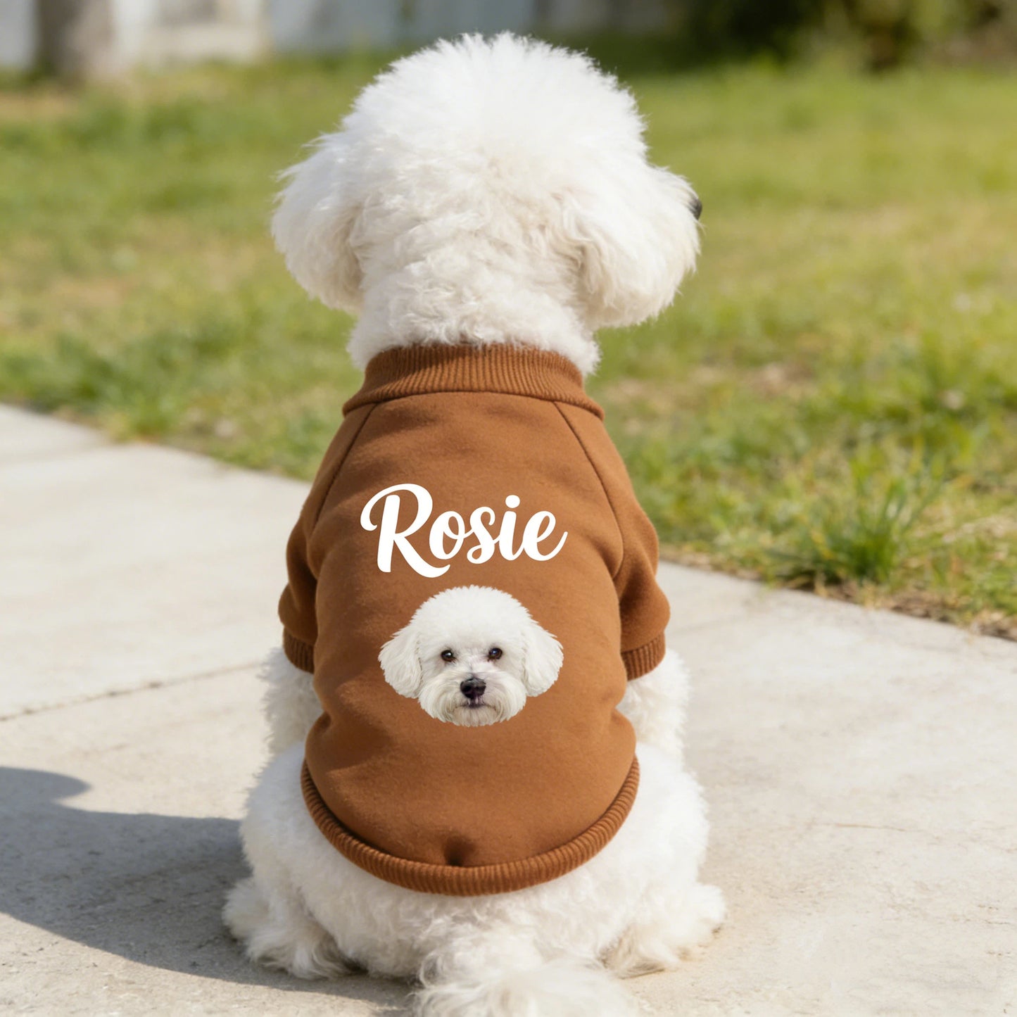 Personalisiertes Haustier-Sweatshirt mit Namen und Foto | inCloth26
