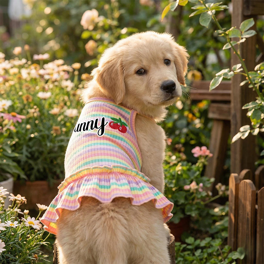 Personalisiertes Haustier-Sommerkleid mit Regenbogenstreifen | inCloth69