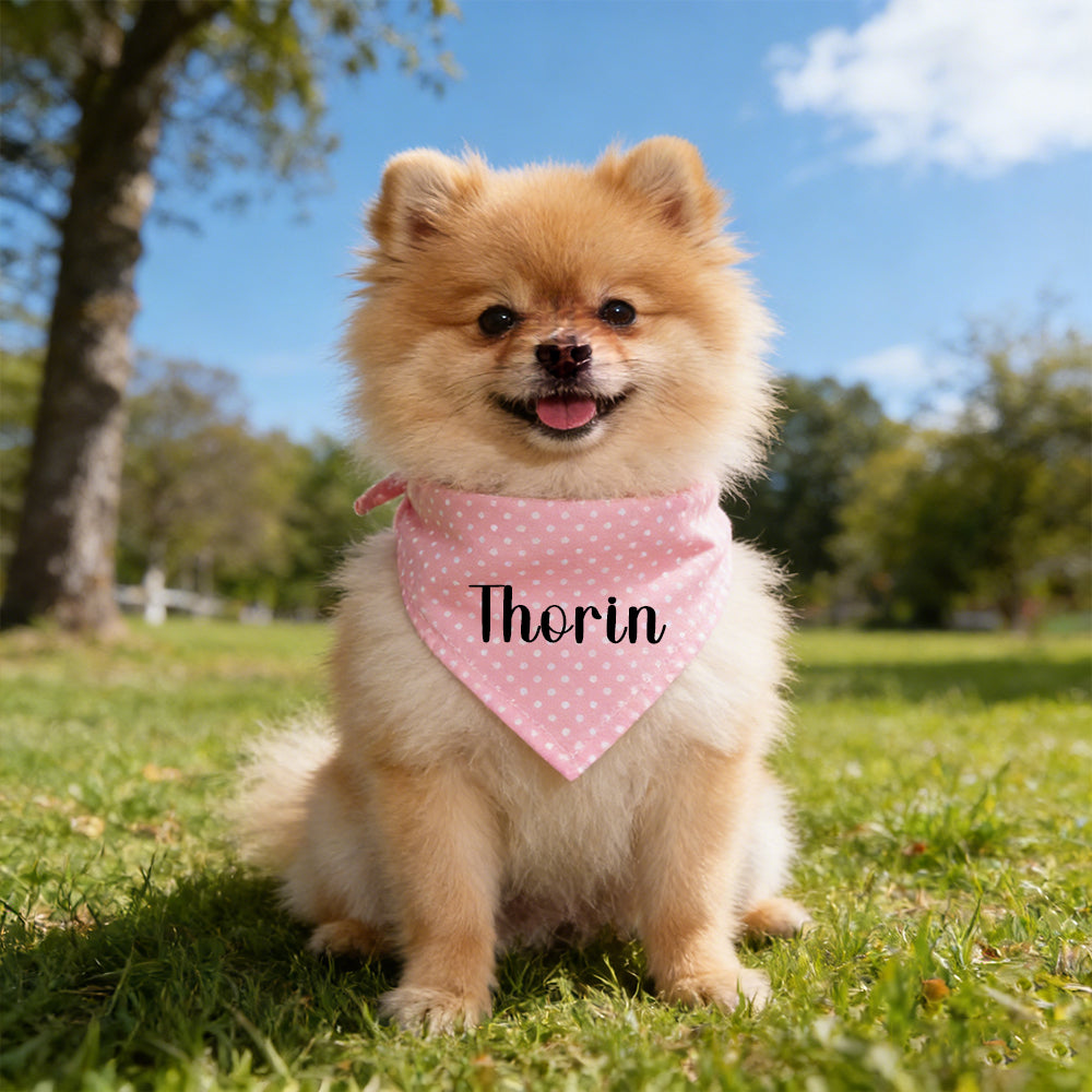 T-shirt personnalisé fête des Mères pour maman de chien et bandana pour animal | inCloth45