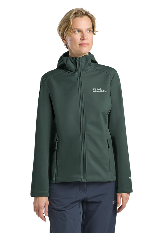 BORNBERG HOODY W