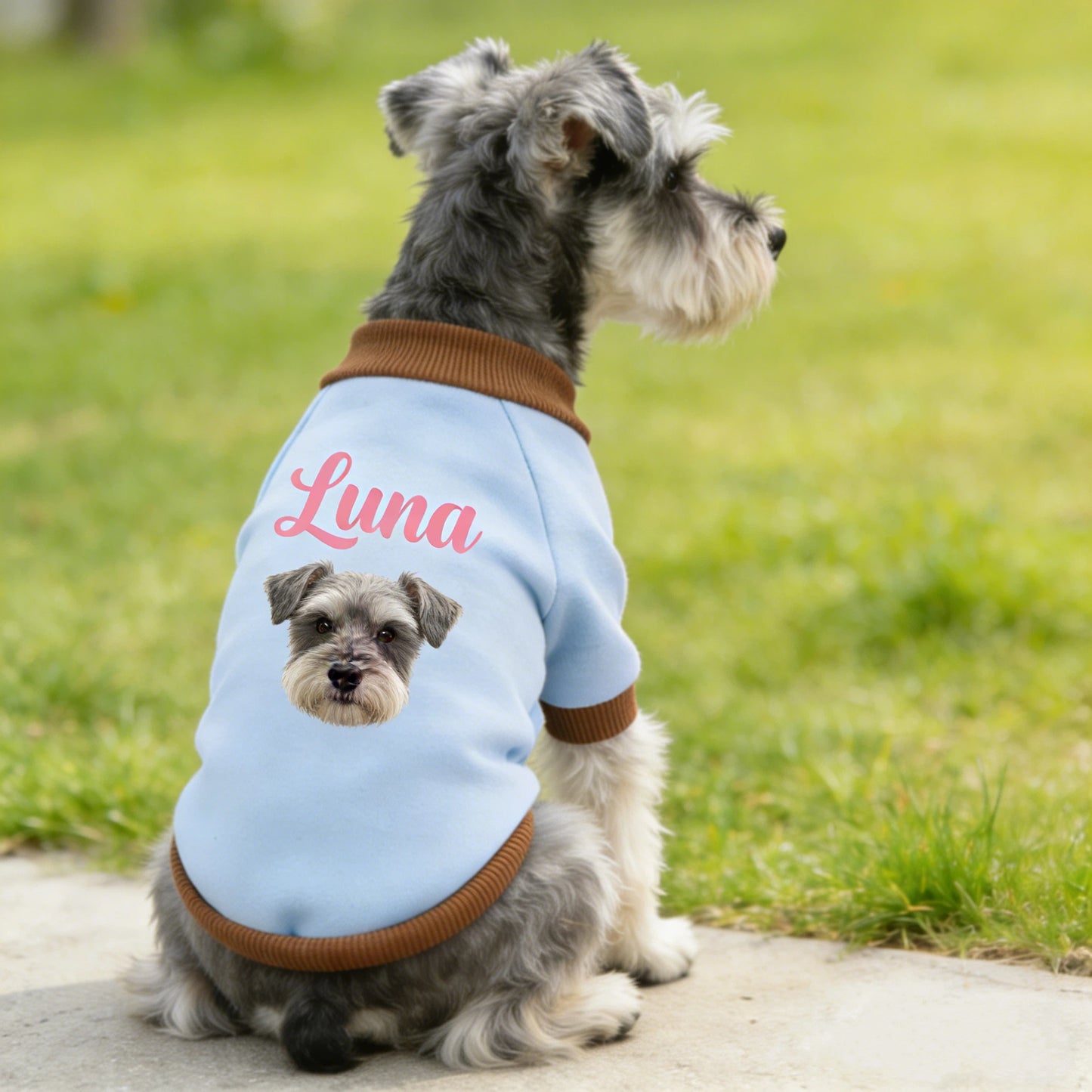 Personalisiertes Haustier-Sweatshirt mit Namen und Foto | inCloth26