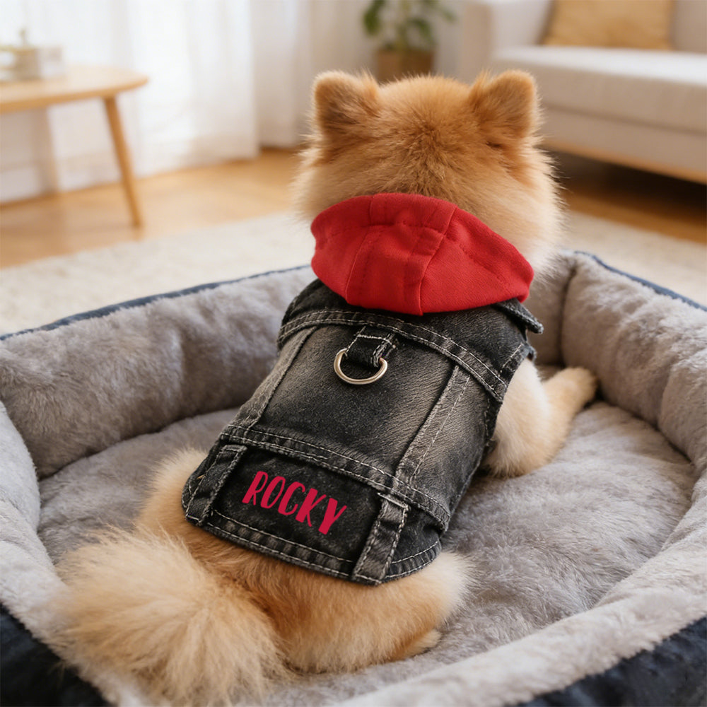 Veste à capuche en jean personnalisée pour animaux de compagnie | inCloth60