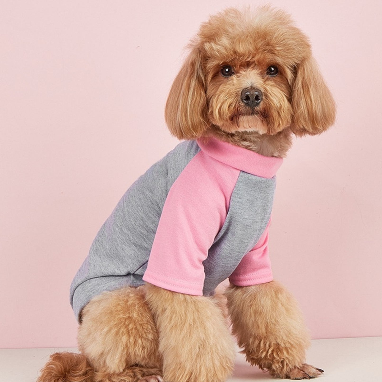 T-shirt personnalisé color-block pour animaux Fête des Mères | inCloth42