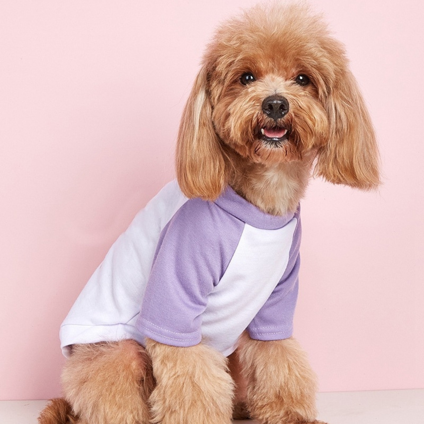 T-shirt personnalisé color-block pour animaux Fête des Mères | inCloth42