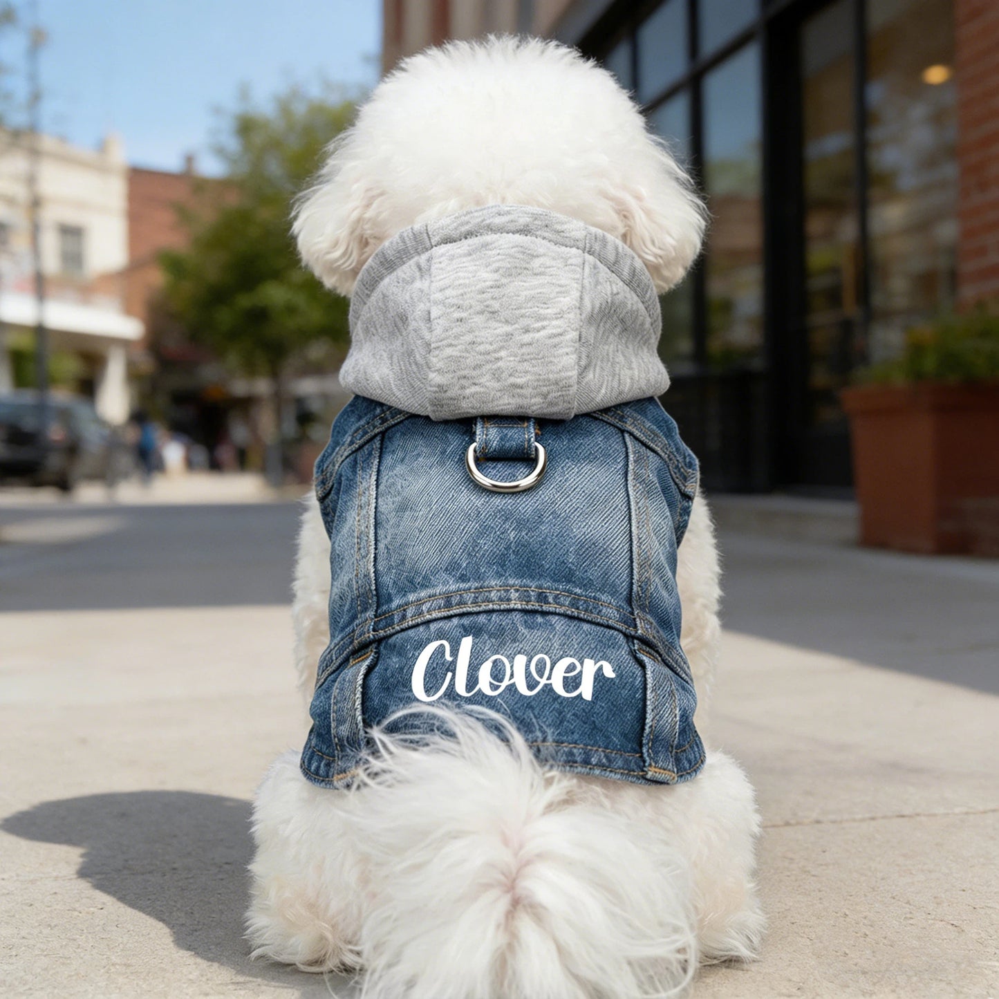 Veste à capuche en jean personnalisée pour animaux de compagnie | inCloth60
