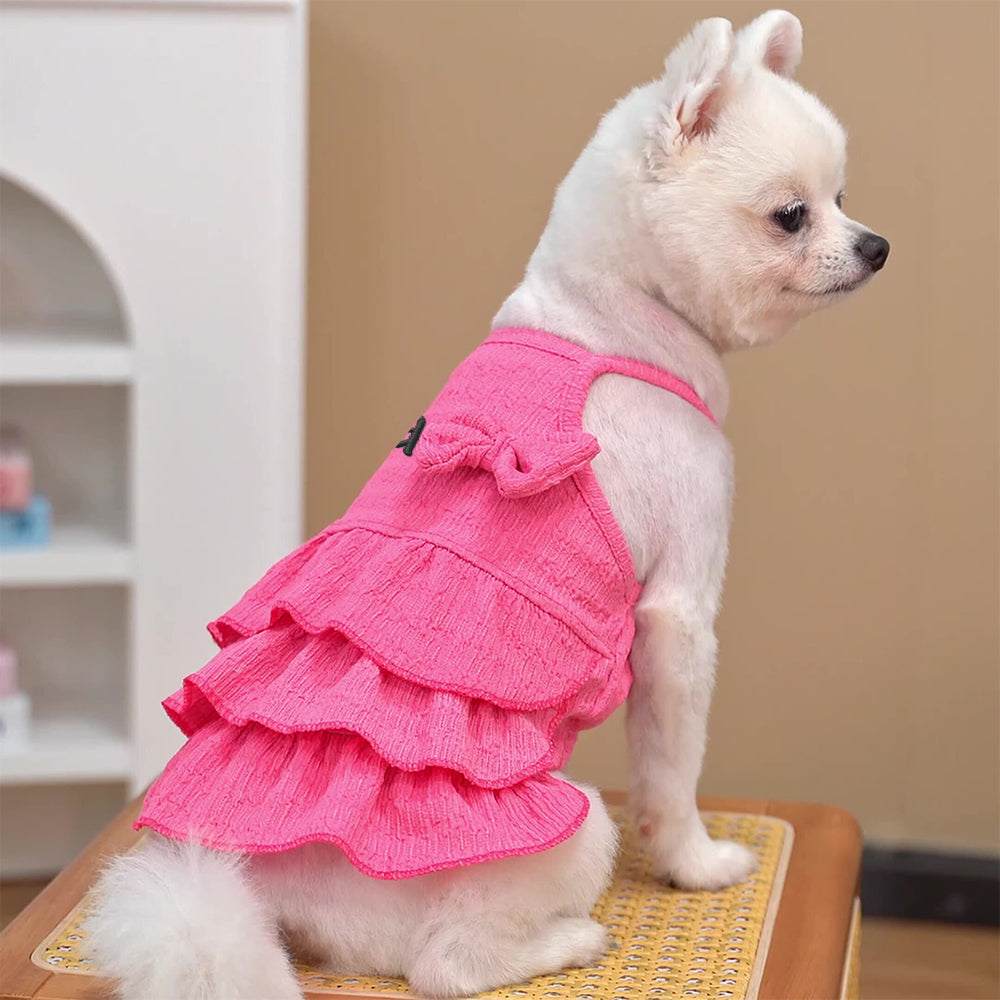 Robe princesse personnalisée brodée avec nom pour animaux de compagnie | inCloth41