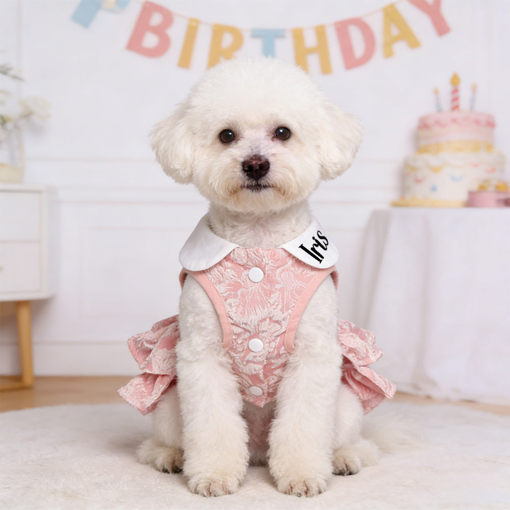 Personalisiertes Haustier-Prinzessinnenkleid mit Namen | inCloth73