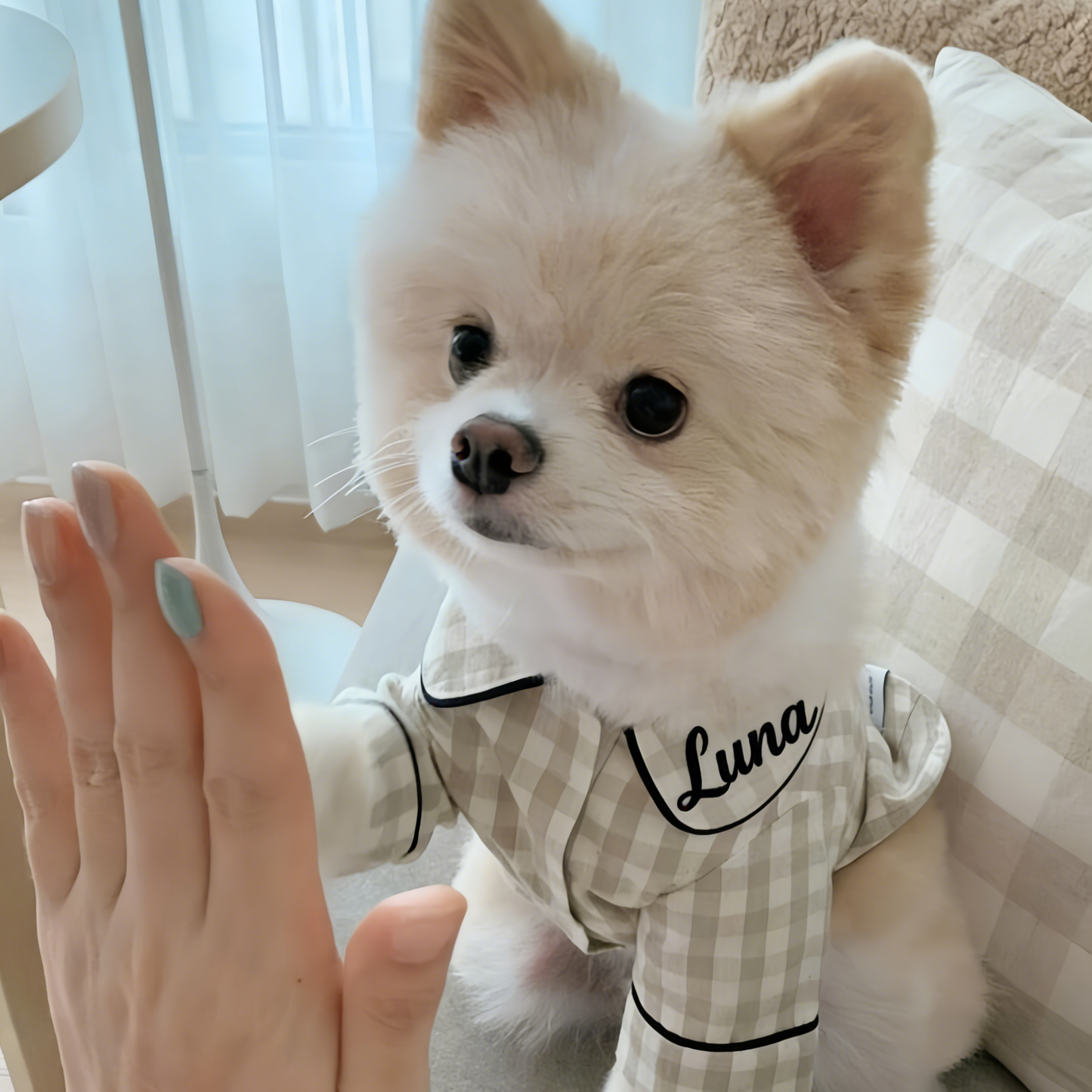 Pyjama à carreaux personnalisé brodé en coton et lin pour chien | inCloth70