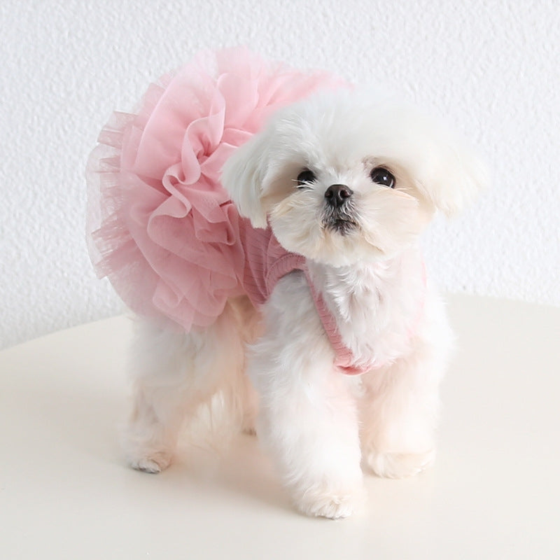 Personalisiertes Haustier-Tutu-Kleid mit Namen | inCloth40