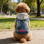 Personalized Name Denim Pet Hoodie Jacket | inCloth60