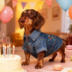 Personalized Embroidered Name Pet Birthday Denim Jacket  | inCloth68