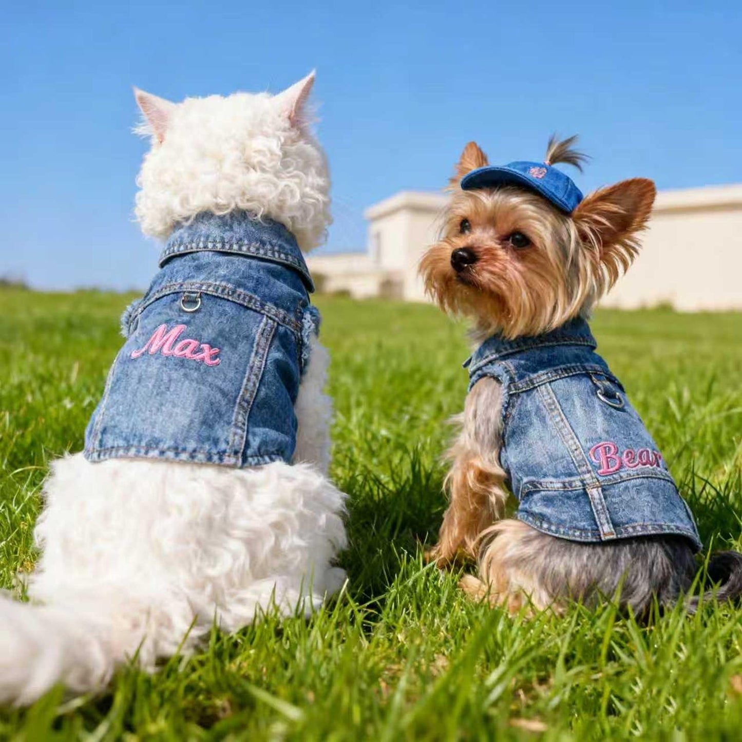 Personalisierte bestickte Haustier-Jeansweste mit Namen | inCloth63