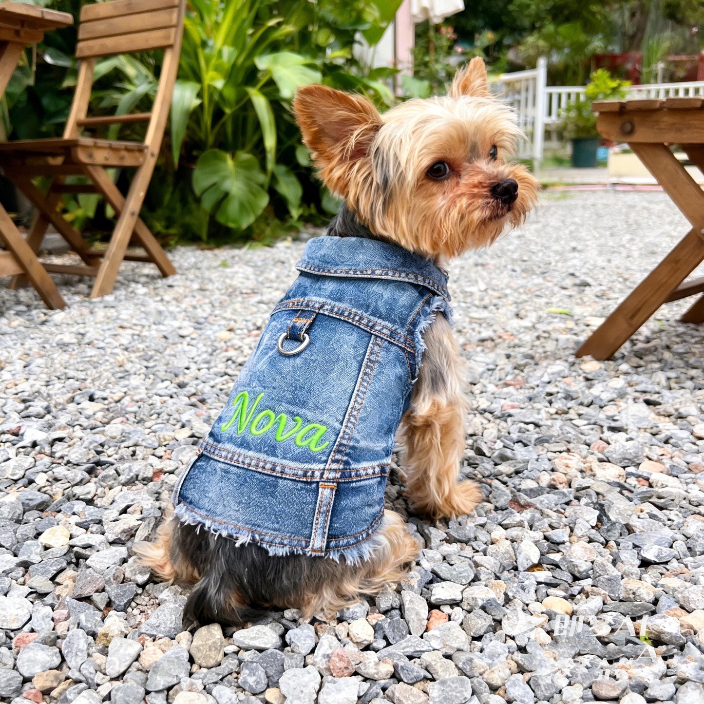 Personalisierte bestickte Haustier-Jeansweste mit Namen | inCloth63