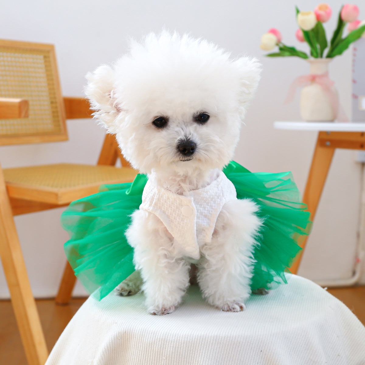 Personalisiertes Glücks-St.-Patricks-Day-Kleid für Haustiere | inCloth11