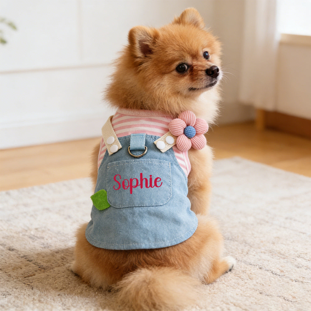 Personalized Name Pet Denim Overalls Dress  | inCloth49