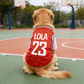Personalized Breathable Pet Shirt with Name & Number | inCloth62