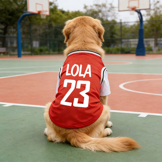Personalized Breathable Pet Shirt with Name & Number | inCloth62