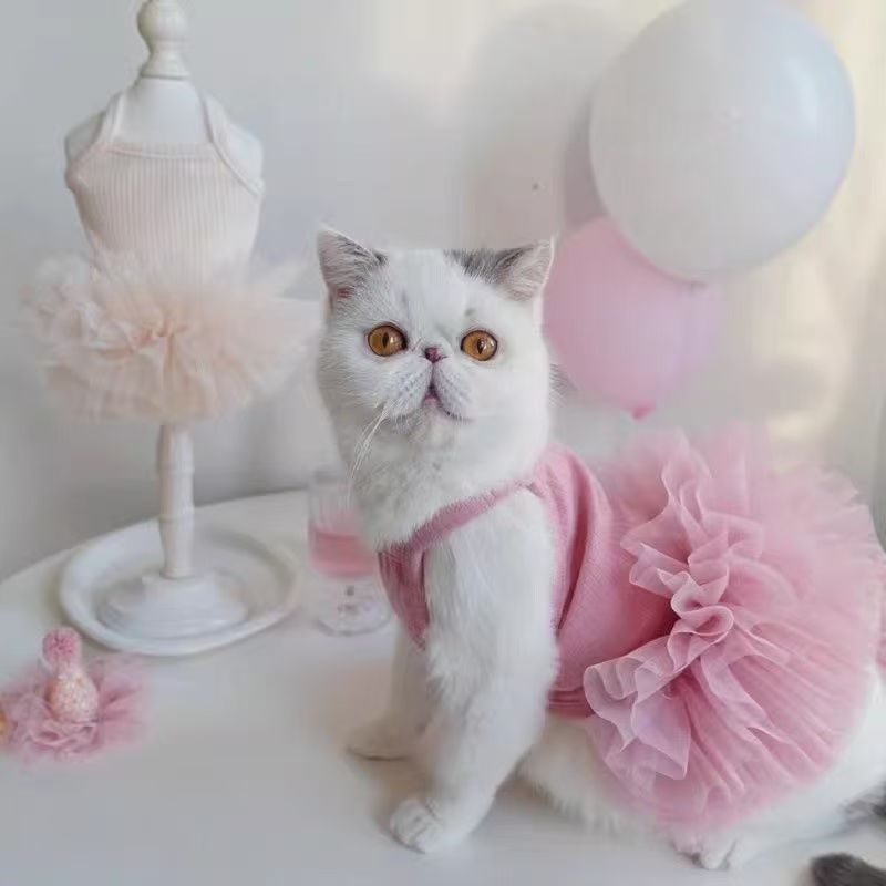 Personalisiertes Haustier-Tutu-Kleid mit Namen | inCloth40