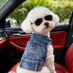 Personalized Embroidered Name Pet Denim Vest | inCloth63