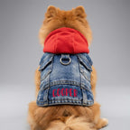 Personalized Name Denim Pet Hoodie Jacket | inCloth60