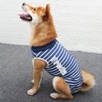 Personalized Name Anti Lick Pet Onesie | inCloth72