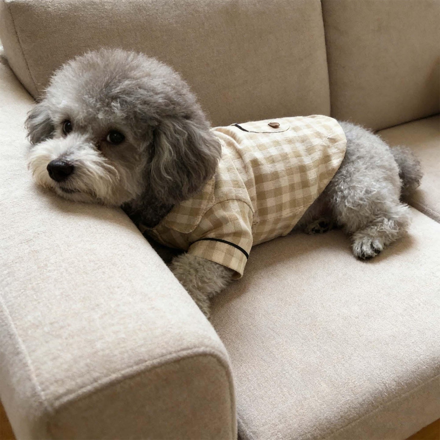 Pyjama à carreaux personnalisé brodé en coton et lin pour chien | inCloth70