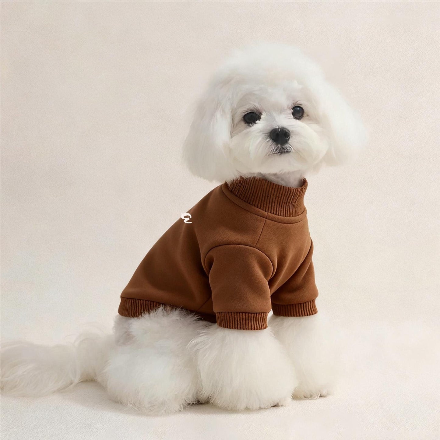 Personalisiertes Haustier-Sweatshirt mit Namen und Foto | inCloth26