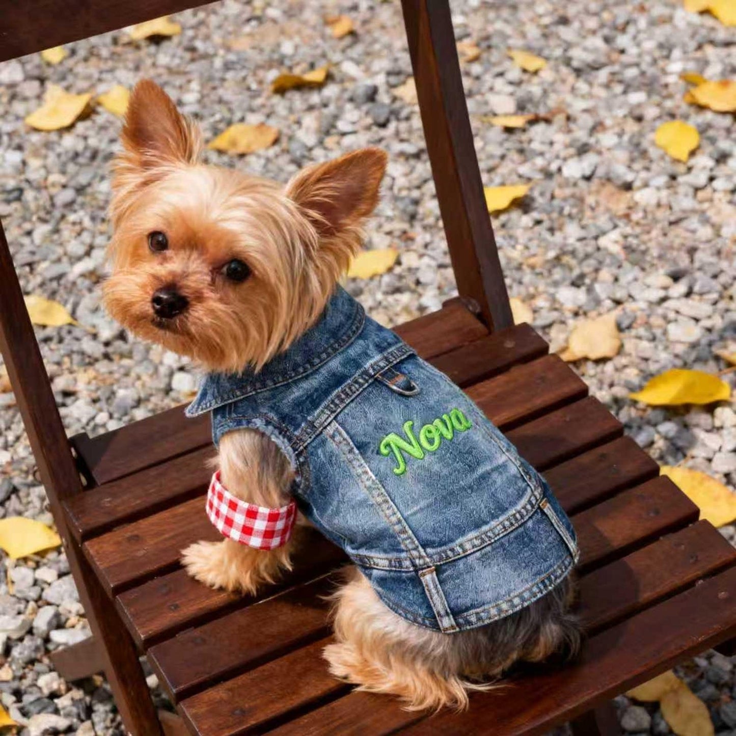 Personalisierte bestickte Haustier-Jeansweste mit Namen | inCloth63