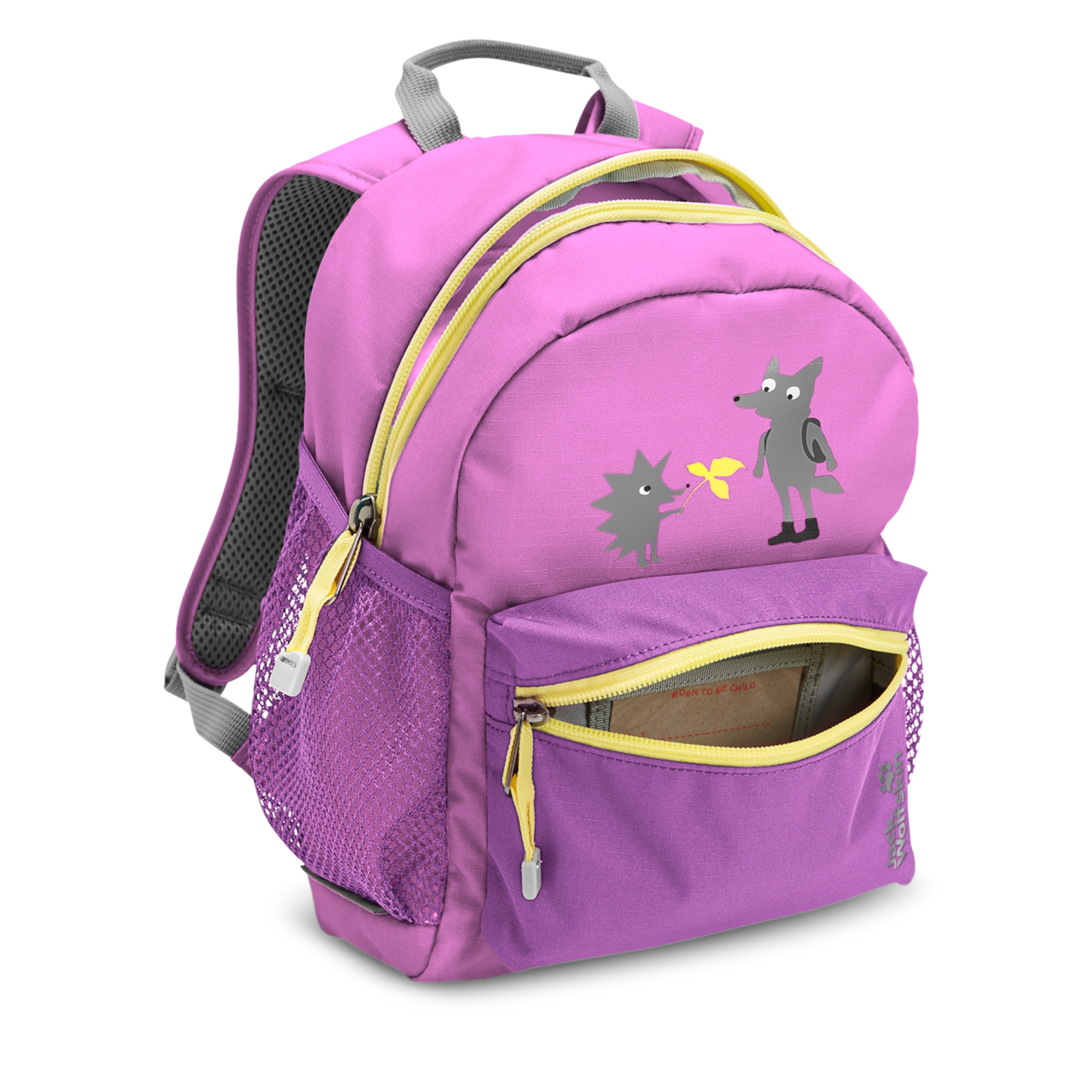 LITTLE SCOUT 10