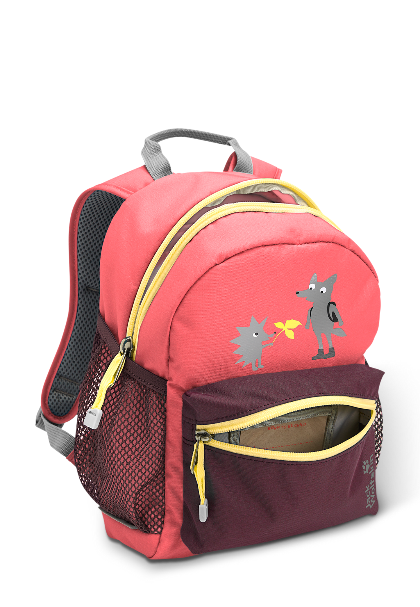 LITTLE SCOUT 10