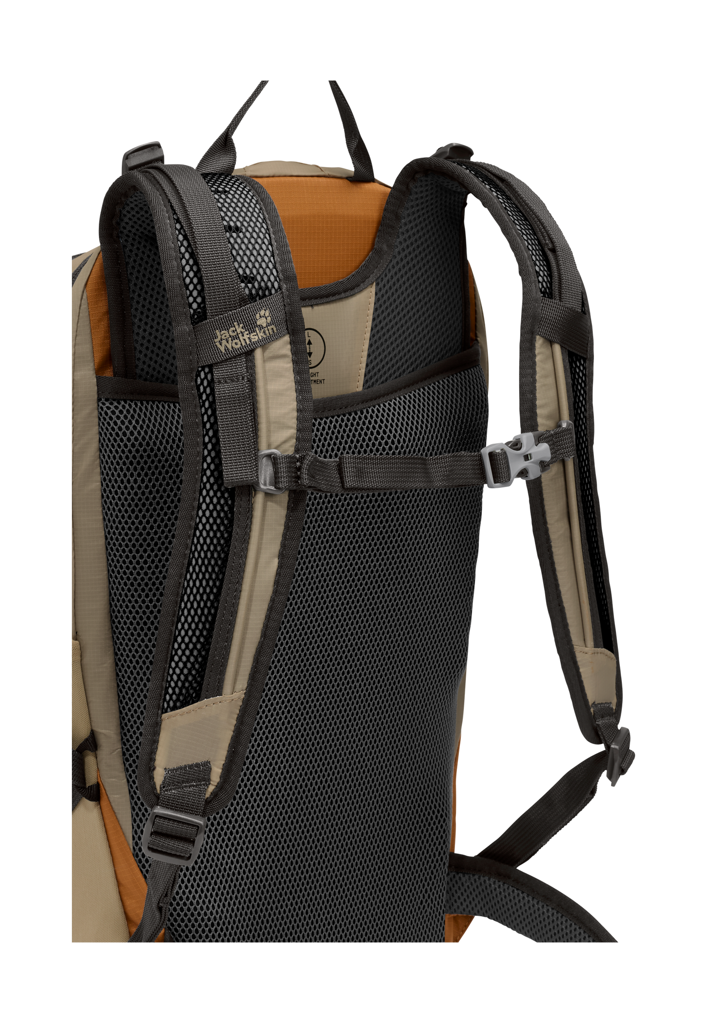 ECHOTREK SHAPE 25 S-L