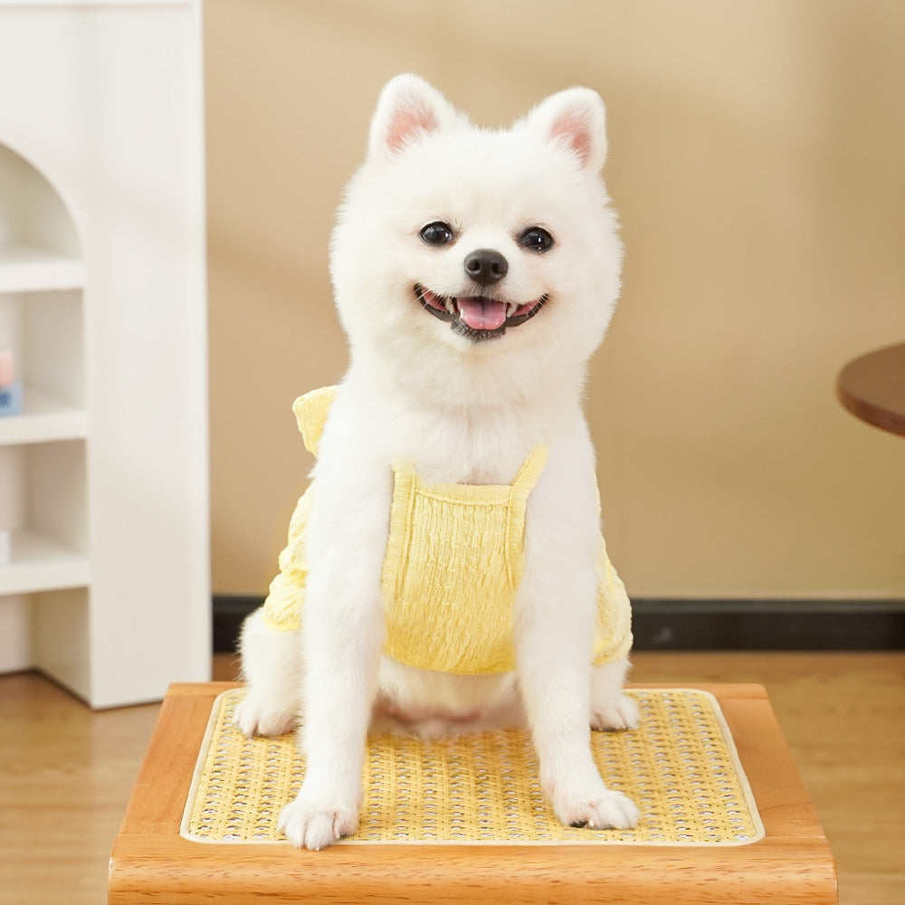 Robe princesse personnalisée brodée avec nom pour animaux de compagnie | inCloth41