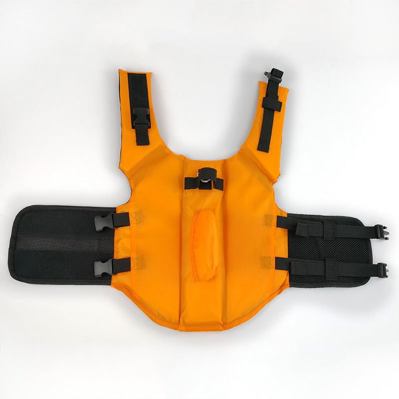 Personalized Name Pet Shark Life Jacket | inCloth56