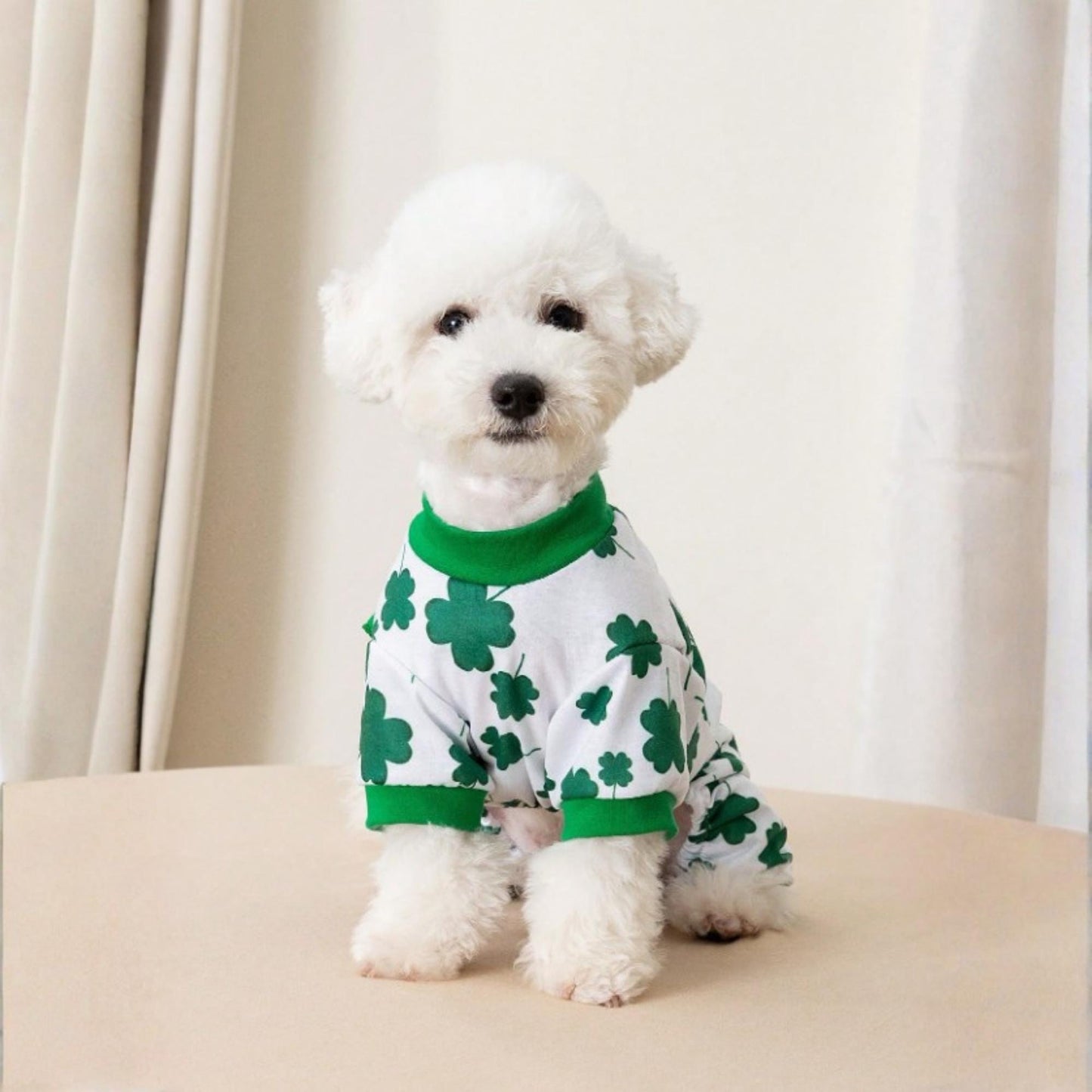 Combinaison personnalisée pour animaux de compagnie St. Patrick Chanceux | inCloth10
