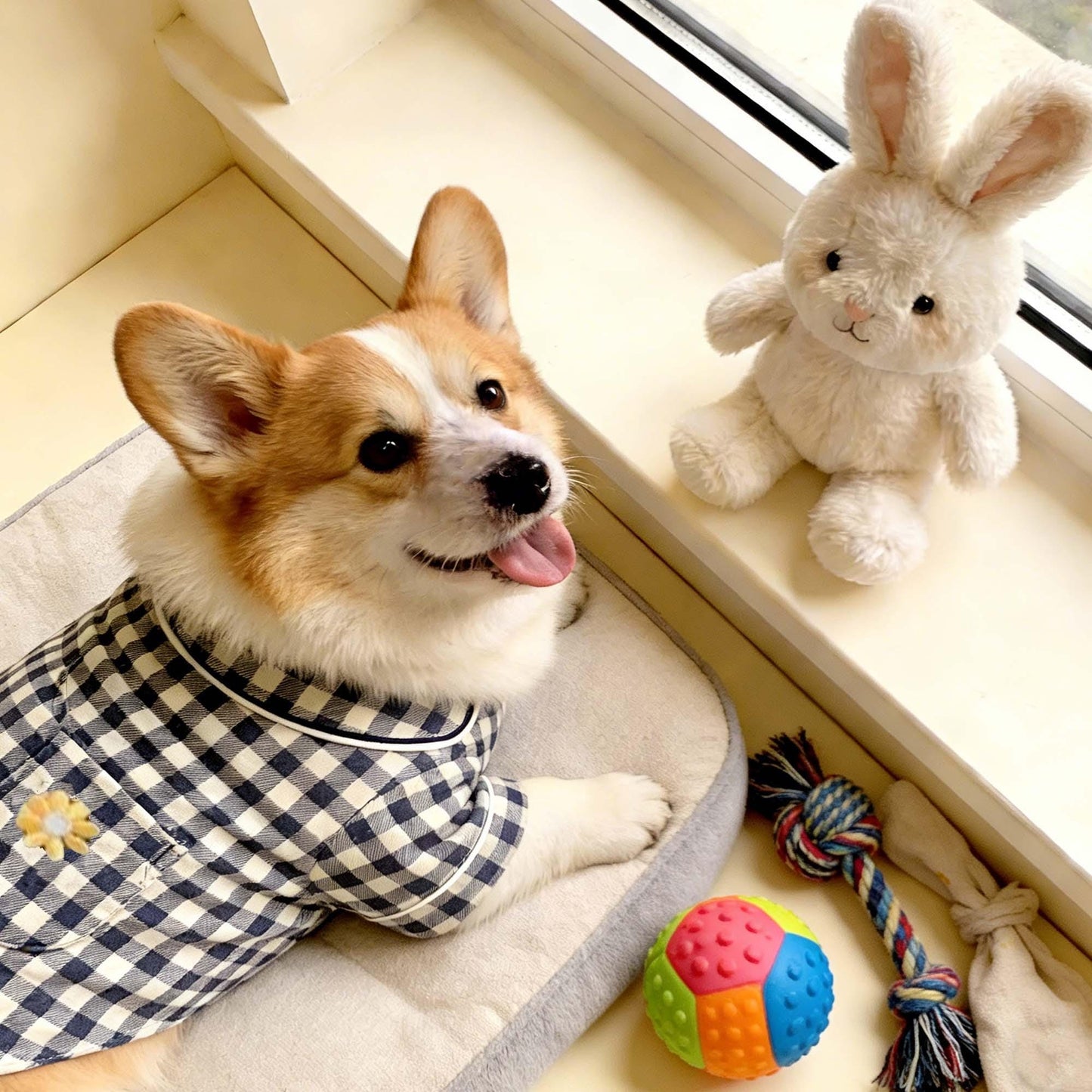 Pyjama à carreaux personnalisé brodé en coton et lin pour chien | inCloth70