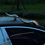 Pack of 2 pcs Dragon Horn Car Roof Decoration