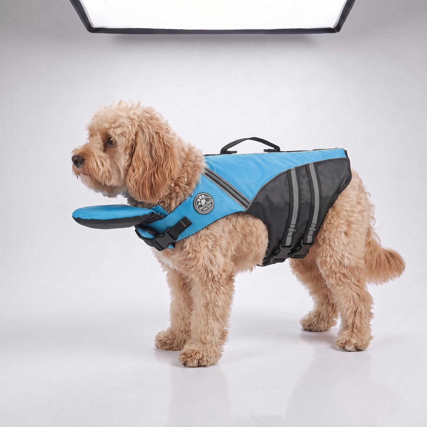 floaty - dog life jacket with head rest