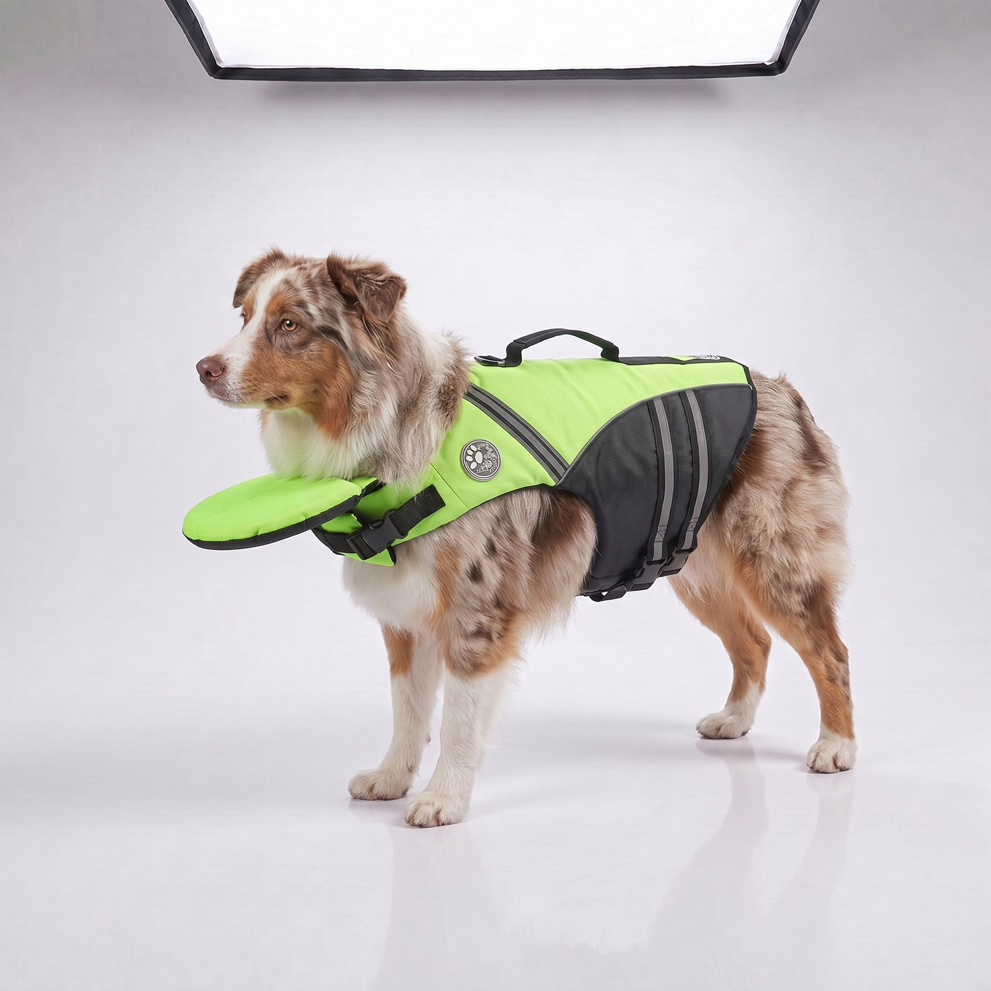 floaty - dog life jacket with head rest