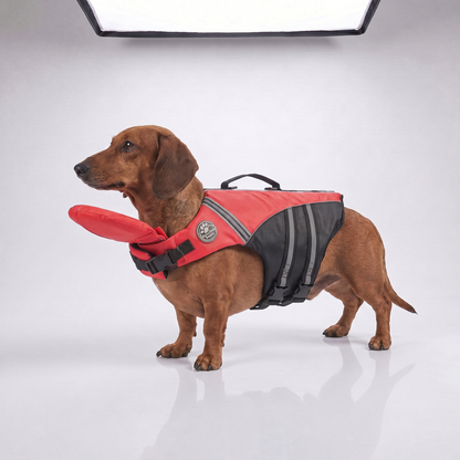 floaty - dog life jacket with head rest